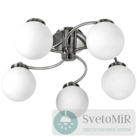 Потолочная люстра Arte Lamp Cloud A8170PL-5SS