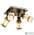 Спот Lussole Loft LSP-0221 споты