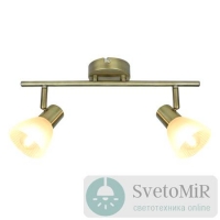 Спот Arte Lamp Parry A5062AP-2AB