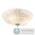 Потолочный светильник Lightstar Zucche 820234