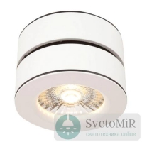 Спот Maytoni Treviso C023CL-L20W споты