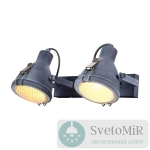 Спот Arte Lamp A9178AP-2GY