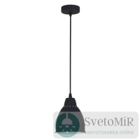 Подвесной светильник Arte Lamp Braccio A2054SP-1BK