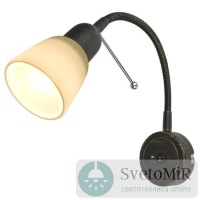 Спот Arte Lamp Lettura A7009AP-1BR