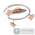 Спот Globo Lord 2 5441-3