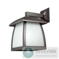 Уличный настенный светильник Odeon Light Tako 4050/1W