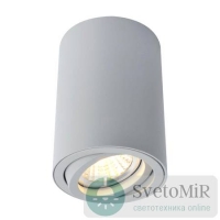 Потолочный светильник Arte Lamp A1560PL-1GY