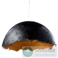 Подвесной светильник Arte Lamp Dome A8148SP-1GO