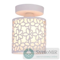 Потолочный светильник Arte Lamp Traforato A8349PL-1WH