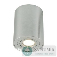 Потолочный светильник Arte Lamp A5644PL-1SI