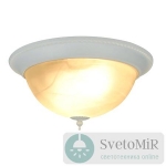 Потолочный светильник Arte Lamp Porch A1305PL-2WH