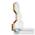 Настенный светильник Lightstar Favo 750643